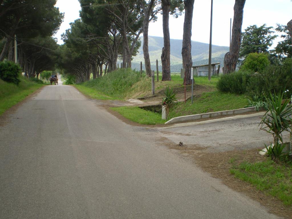 Agriturismo Ternova Alberese Ngoại thất bức ảnh